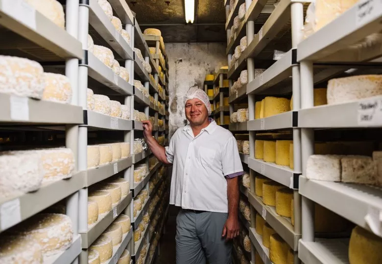 creare site pentru producatori din moldova