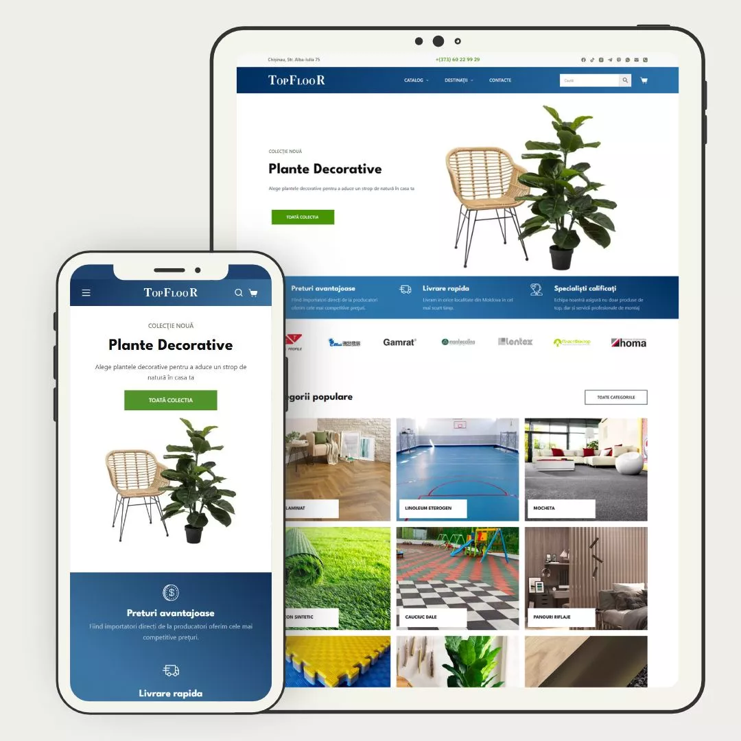 topfloor dezvoltat de creare siteuri